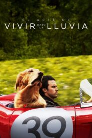 Mi Amigo Enzo – 2019 – Online In Netflix