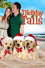 3 Holiday Tails – 2011 – Online In Netflix