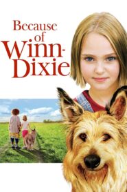 El Perro Sonriente – 2005 – Online In Netflix