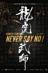 龍虎武師 – 2021 – Online In Netflix