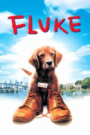 Mi amigo Fluke – 1995 – Online In Netflix