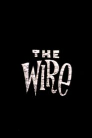 The Wire – 1996 – Online In Netflix