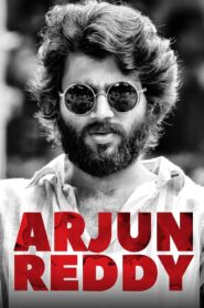అర్జున్ రెడ్డి – 2017 – Online In Netflix