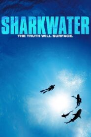 Sharkwater – 2006 – Online In Netflix
