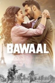 बवाल – 2023 – Online In Netflix