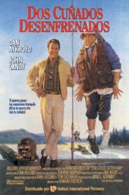 The Great Outdoors – 1988 – Online In Netflix