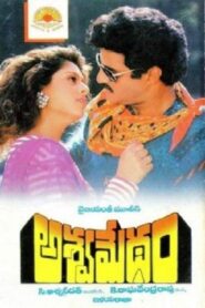 అశ్వమేధం – 1992 – Online In Netflix