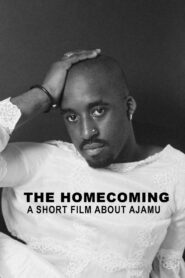 The Homecoming: A Short Film About Ajamu – 1996 – Online In Netflix