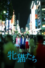 牝猫たち – 2017 – Online In Netflix