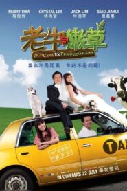 Old Cow Vs Tender Grass – 2010 – Online In Netflix