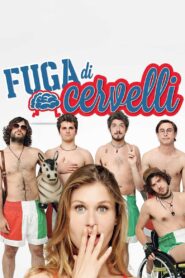 Fuga di cervelli – 2013 – Online In Netflix