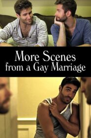 More Scenes from a Gay Marriage – 2014 – Online In Netflix