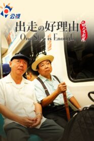 出走的好理由 – 2011 – Online In Netflix