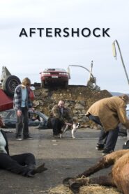 Aftershock – 2008 – Online In Netflix