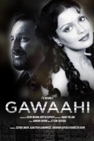 Gawaahi – 1989 – Online In Netflix