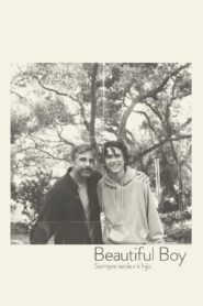 Beautiful Boy: Siempre serás mi hijo – 2018 – Online In Netflix