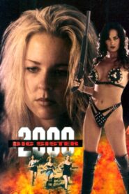 Big Sister 2000 – 1995 – Online In Netflix