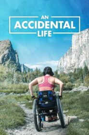 An Accidental Life – 2022 – Online In Netflix
