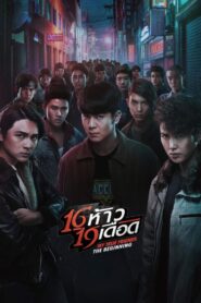 16 ห้าว 19 เดือด – 2022 – Online In Netflix