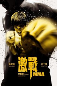 激戰 – 2013 – Online In Netflix