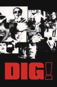 Dig! – 2004 – Online In Netflix