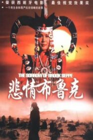 悲情布鲁克 – 1995 – Online In Netflix