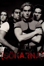 Sökarna – 1993 – Online In Netflix