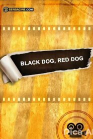Black Dog, Red Dog – 2015 – Online In Netflix