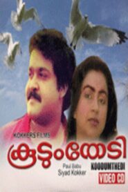 കൂടും തേടി – 1985 – Online In Netflix