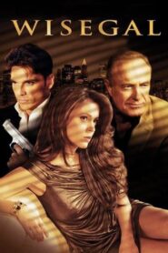 Wisegal – 2008 – Online In Netflix