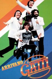 Arrivano i gatti – 1980 – Online In Netflix
