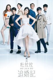 杜拉拉追婚记 – 2015 – Online In Netflix