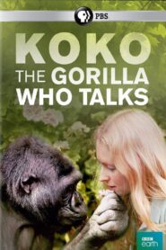 Koko: The Gorilla Who Talks to People – 2016 – Online In Netflix