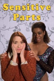 Sensitive Parts – 2017 – Online In Netflix