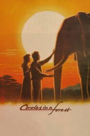 Circles in a Forest – 1989 – Online In Netflix
