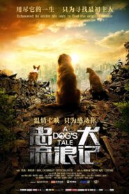忠犬流浪记 – 2021 – Online In Netflix