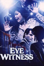 Testimone oculare – 1990 – Online In Netflix