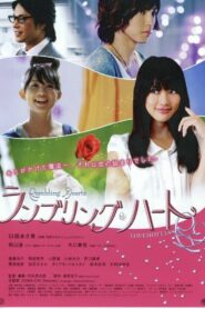ランブリングハート – 2010 – Online In Netflix