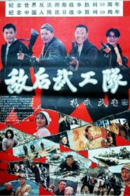 敌后武工队 – 1995 – Online In Netflix