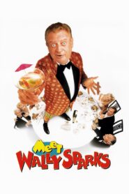 Meet Wally Sparks – 1997 – Online In Netflix