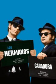 Los Hermanos Caradura 2000 – 1998 – Online In Netflix