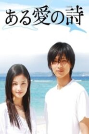 ある愛の詩 – 2006 – Online In Netflix