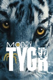 Modrý tygr – 2012 – Online In Netflix