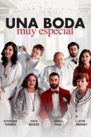 Another Kind of Wedding – 2017 – Online In Netflix