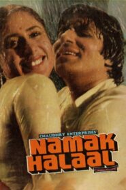 नमक हलाल – 1982 – Online In Netflix