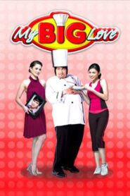 My Big Love – 2008 – Online In Netflix