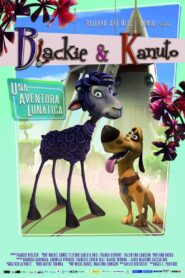 Black to the Moon 3D – 2013 – Online In Netflix