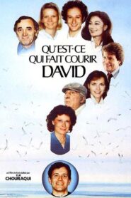 Qu’est-ce qui fait courir David ? – 1982 – Online In Netflix