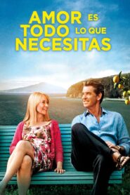 Den skaldede frisør – 2012 – Online In Netflix