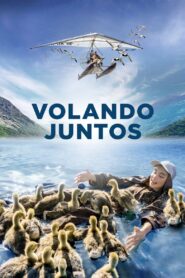 Abre tus alas – 2019 – Online In Netflix